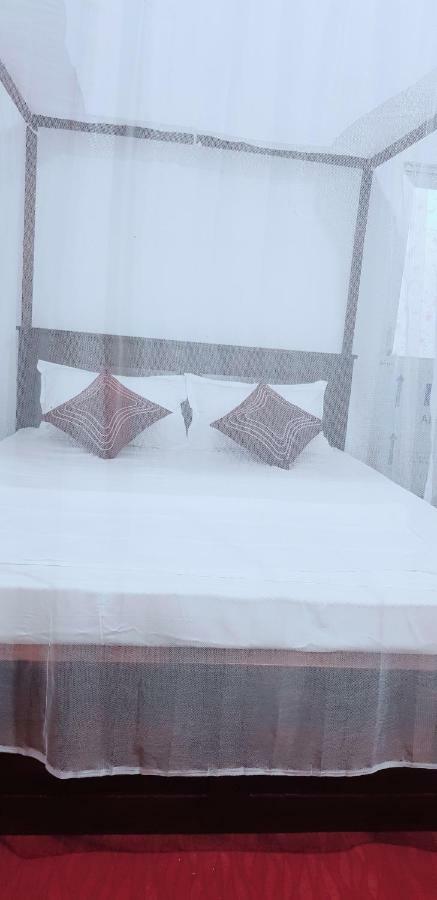 Exotic Beach Hotel 아루감 베이 외부 사진